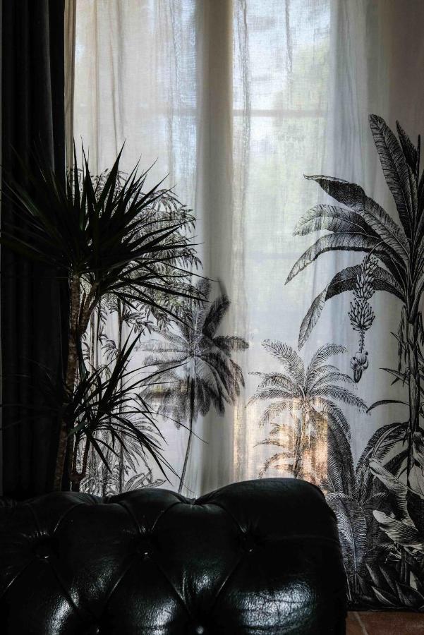 Villa des Antiquaires Bédarieux Extérieur photo