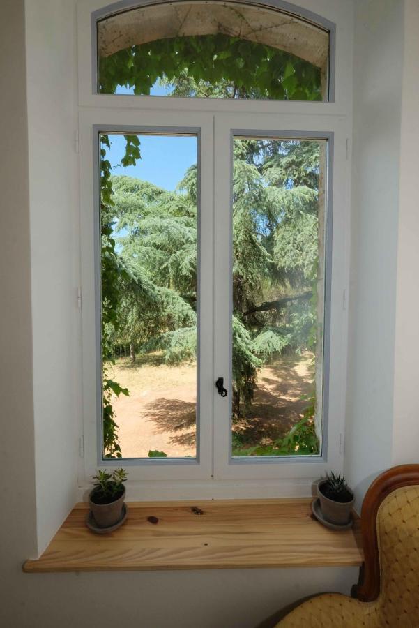 Villa des Antiquaires Bédarieux Extérieur photo